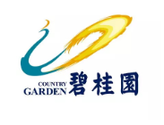 义安碧桂园地产